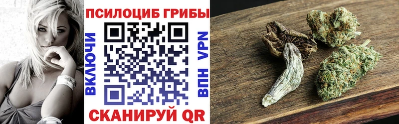 Купить закладки Верхняя Тура Галлюциногенные грибы мицелий